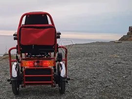 Трицикл E-trike Transformer 1+1 600W 20Ah