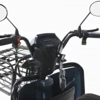 Грузовой электротрицикл Trike Transformer-1