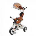 Велосипед 3-х колесный Navigator Lexus Trike Сафари