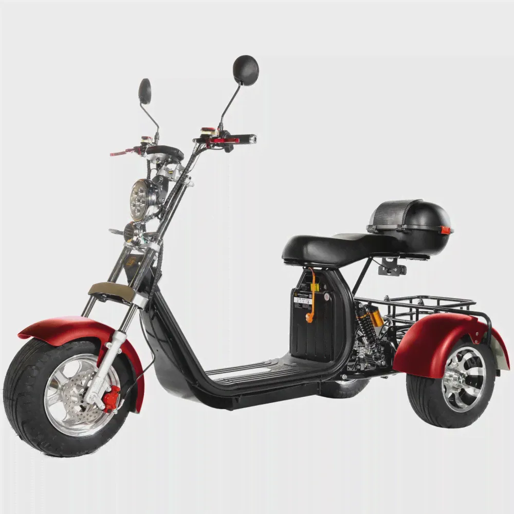 Электротрицикл CityCoco TRIKE GT-X11pro trike Grand