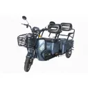 Грузовой электротрицикл Trike Transformer