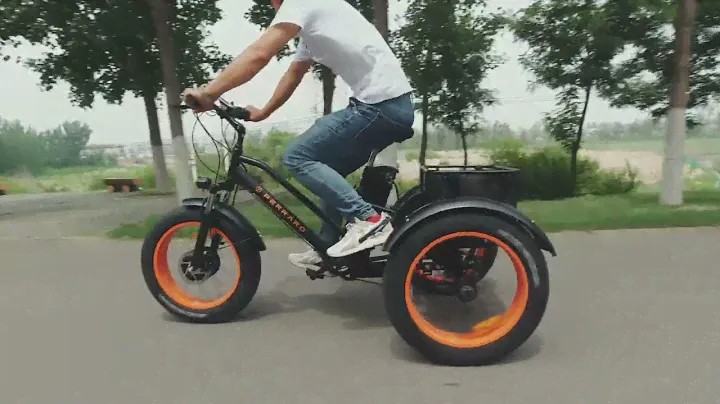 PERRARO ELECTRIC BIKE Trike-1000 Series