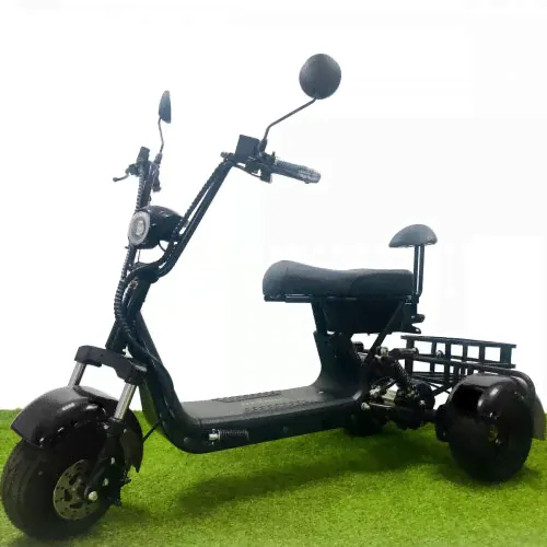 Электроскутер Citycoco GT X3 Pro Trike Mini-0