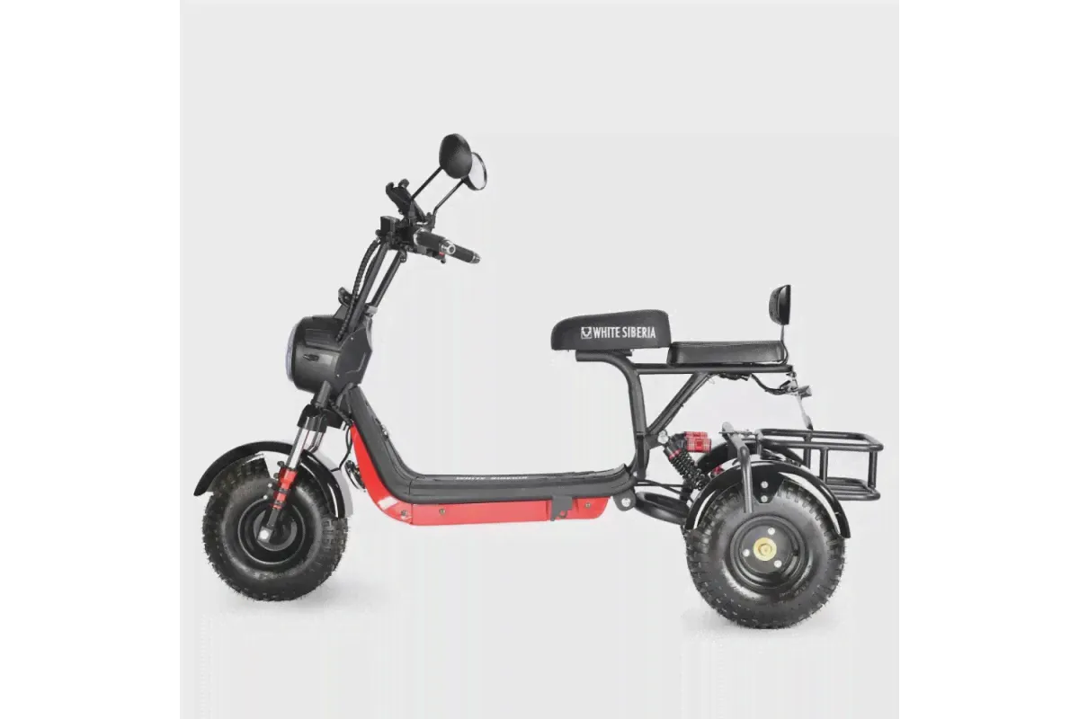 Электротрицикл Citycoco White Siberia TRIKE MINI 178W Черный-4