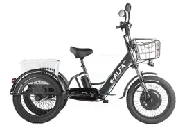 Трицикл Eltreco Green City e-ALFA Trike
