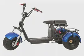 Электроскутер GT Citycoco X7 PRO TRIKE